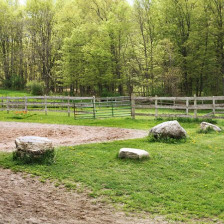 Horse Riding Lessons & Dressage Training - English Style - Syracuse, NY